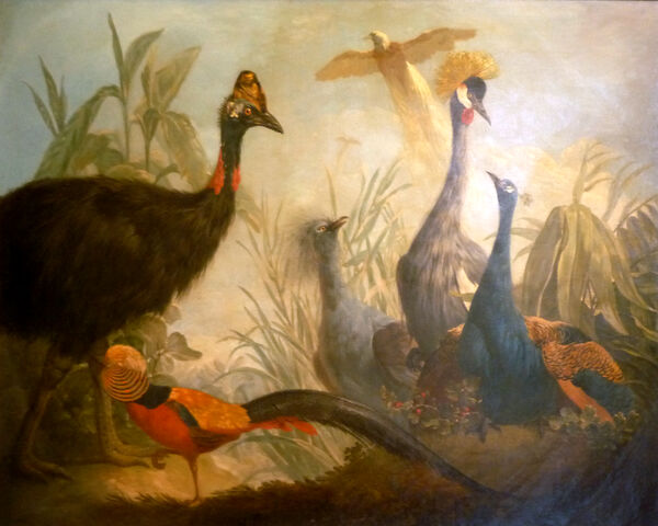 File:Thirty birds.jpg