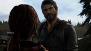 Joel profile 2