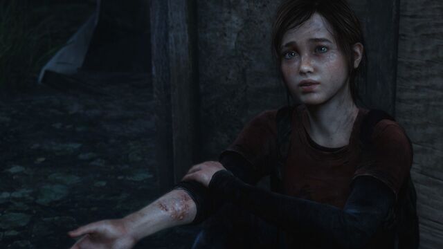 Datei:The Last of Us™ Remastered 20140914114955.jpg