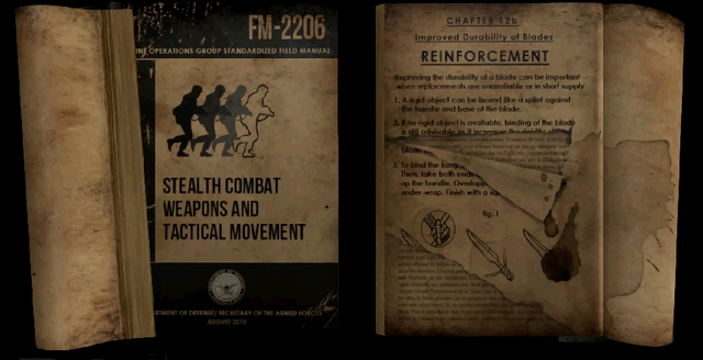 Файл:Trainings 3.png