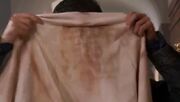 Shroud of Turin
