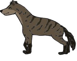 Kitu cub