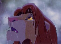 Simba2