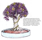 LongEarthBonsai