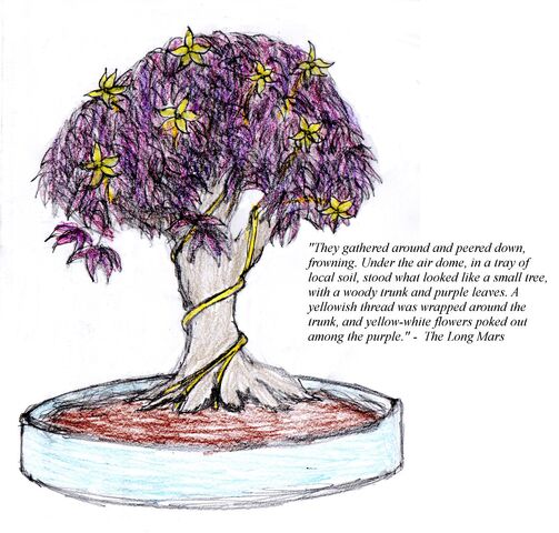 File:LongEarthBonsai.jpg
