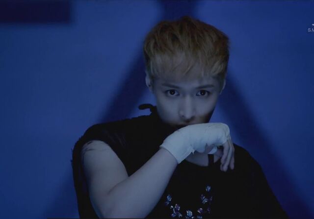 File:Lay (Wolf).jpg