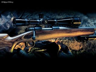 Sniper Rifle 4947 1024 768