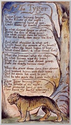 Blake-Tyger-Trans292.jpg