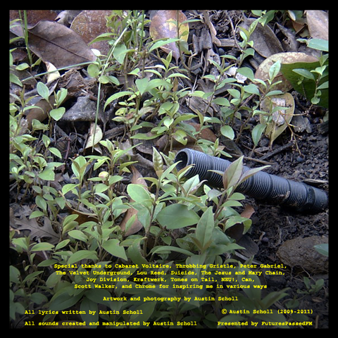 File:TheRightWaytodoEverything back cover.png