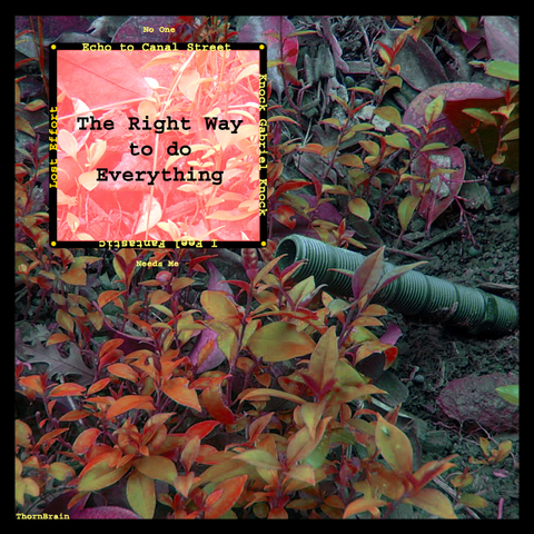 File:TheRightWaytodoEverything.png