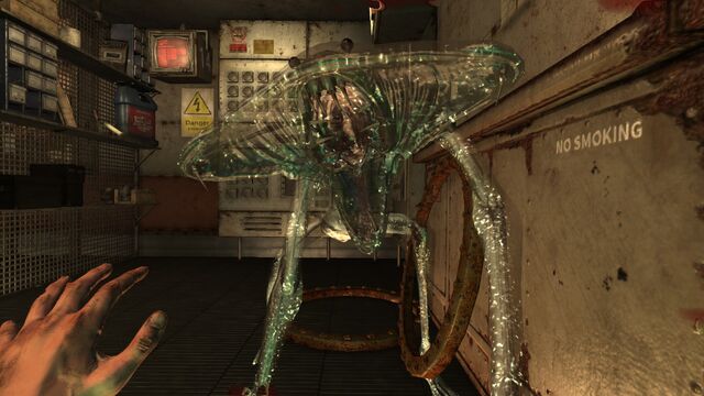 File:Hunter must eat.jpg