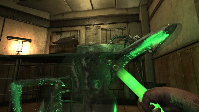 File:Hunter peeking.jpg