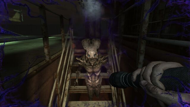 File:The Fiend.jpg