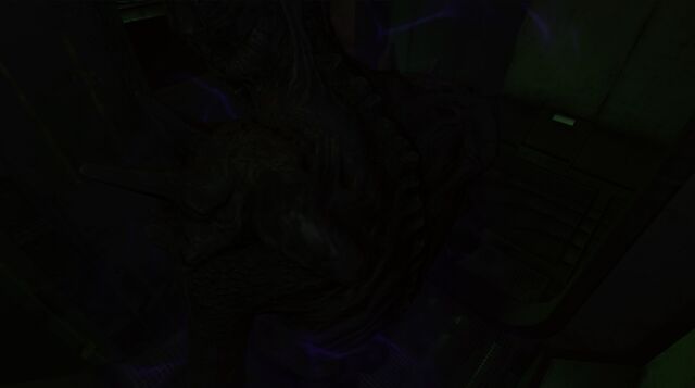 File:The Fiend (Back Shot).jpg