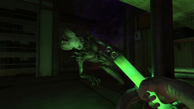 File:The Fiend is stupid.jpg