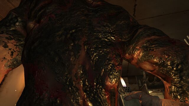 File:Brute back.jpg