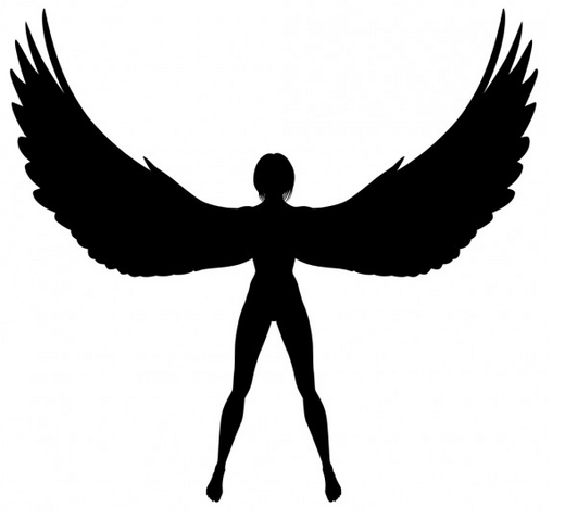 File:Moth490.png