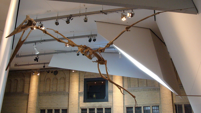File:Quetzalcoatlus2.png