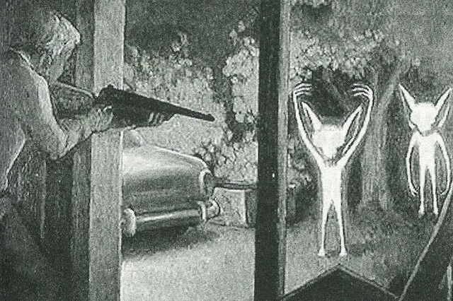 File:Moth651.png