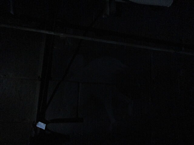 File:IMG 1241.jpg
