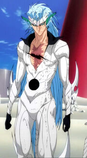 Hageshi's hybrid form