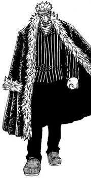 Bara's General Appearance