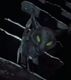 Cat1