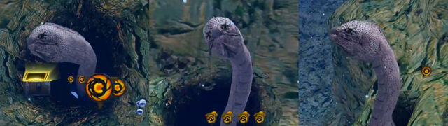 File:Hydra.jpg