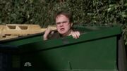 Dwightnewleads