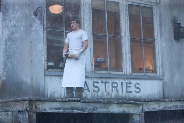 File:The-hunger-games02.jpg