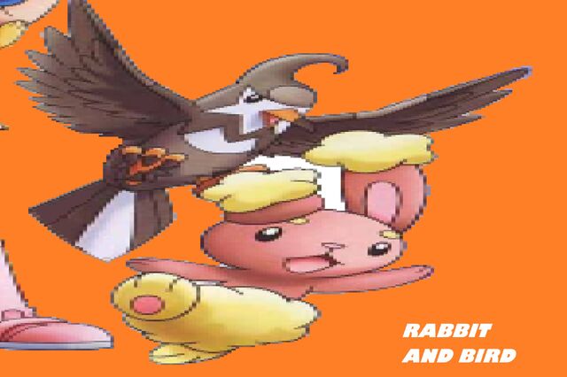 File:Rabbit and bird.jpg