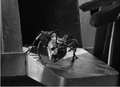 Thumbnail for version as of 23:43, June 5, 2011