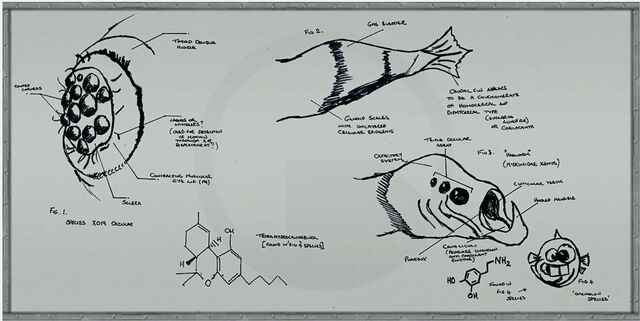 File:C2a4x labboard8.jpg