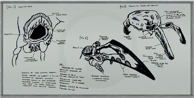File:C2a4x labboard10.jpg