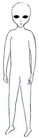 File:ET Bja 2 Light Form.jpg