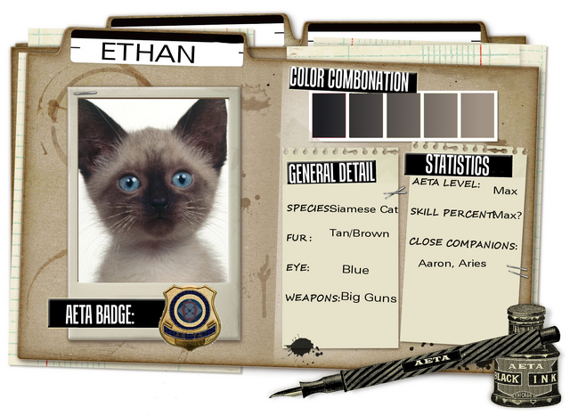 File:Eth case.png