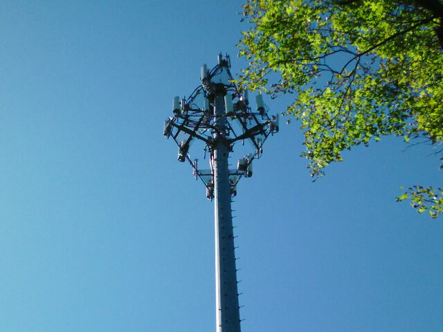 File:SAM 0871.jpg