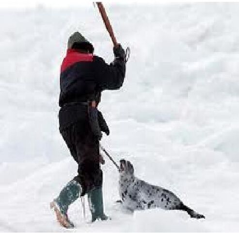 File:Sealkillers.jpg