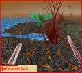 Thumbnail for version as of 09:18, September 5, 2010