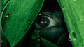 Thumbnail for version as of 03:24, February 15, 2012