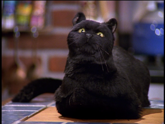 File:Salem Praying.png