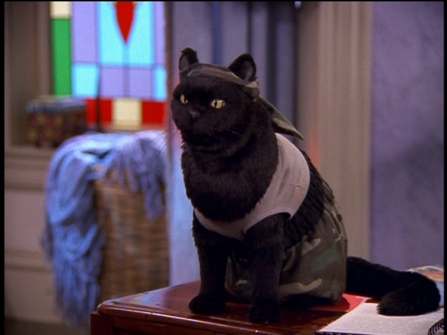 File:Tae Bo Salem.png