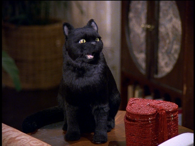 File:Salem Que.png