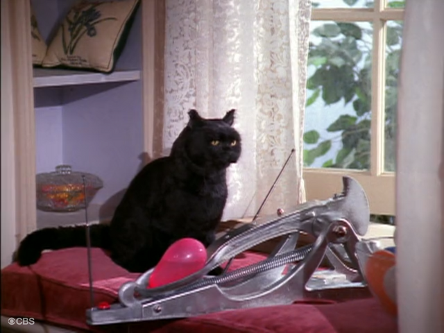 File:Water Balloon Catapult.png
