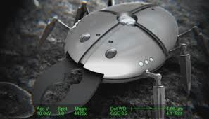 Nanoforms