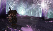Darkgale copy