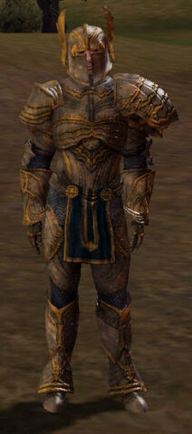 File:Lord Knight's Bulwark.jpg
