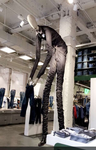 File:Trenderman goes shopping.jpg