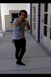 Sebby