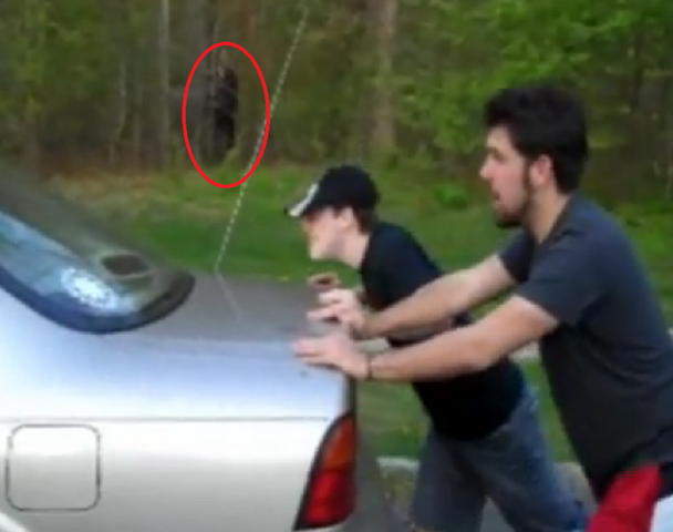 File:VIncent's sixth slender sighting.png